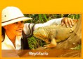 /album/fotogaleria-oferta/home-call-05-jpg/