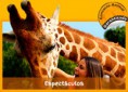 /album/fotogaleria-oferta/home-call-07-jpg/