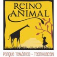 /album/fotogaleria-oferta/reino-animal-jpg1/