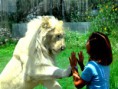 /album/fotogaleria-oferta/reino-animal-2-jpg/
