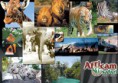 /album/fotogaleria-oferta/safari21-jpg/