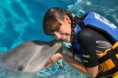 /album/fotogaleria-oferta/six-flags-delfines-jpg/