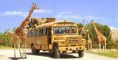 /album/fotogaleria-oferta/tour-africam-safari-puebla-jpg/