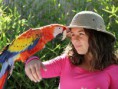 /album/fotogaleria-oferta/tour-reino-anomal-1-jpg/